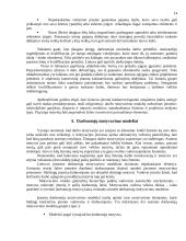Darbuotojų motyvavimo modeliai 14 puslapis