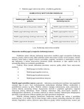 Darbuotojų motyvavimo modeliai 15 puslapis
