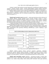 Darbuotojų motyvavimo modeliai 17 puslapis