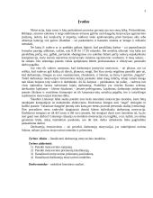 Darbuotojų motyvavimo modeliai 3 puslapis