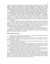 Darbuotojų motyvavimo modeliai 8 puslapis