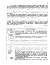 Darbuotojų motyvavimo modeliai 9 puslapis