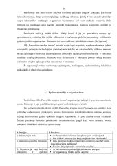 Asmeninės karjeros planavimas ir vystymas: AB "Panevėžio statybos trestas" 13 puslapis