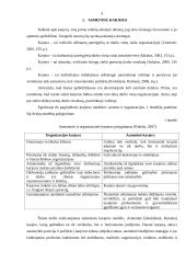 Asmeninės karjeros planavimas ir vystymas: AB "Panevėžio statybos trestas" 3 puslapis