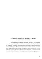 Atsakomybę lengvinančios ir sunkinančios aplinkybės, jų teorinė analizė ir reikšmė teismų praktikoje 17 puslapis