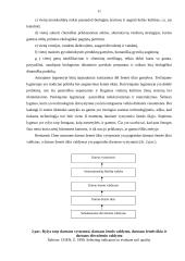 Darnus vystymasis žemės ūkyje: dabartinės problemos ir iššūkiai 11 puslapis