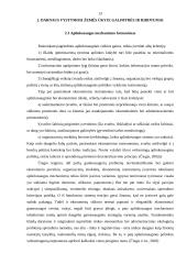 Darnus vystymasis žemės ūkyje: dabartinės problemos ir iššūkiai 13 puslapis