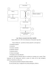 Darnus vystymasis žemės ūkyje: dabartinės problemos ir iššūkiai 10 puslapis