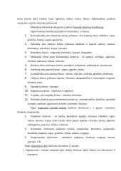 Daržovės - ne tik maistas, bet ir vaistas 2 puslapis