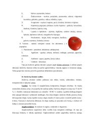 Daržovės - ne tik maistas, bet ir vaistas 3 puslapis