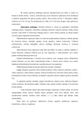 Daržovės - ne tik maistas, bet ir vaistas 7 puslapis