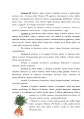 Daržovės - ne tik maistas, bet ir vaistas 10 puslapis