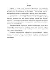 Demografinės aplinkos įtaka tarptautiniam ir nacionaliniam verslui 17 puslapis