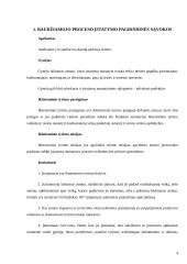 Baudžiamojo proceso dalyviai 3 puslapis