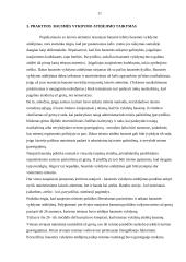 Bausmės vykdymo atidėjimas pagal Lietuvos Respublikos (LR) baudžiamąjį kodeksą ir jo taikymas teismų praktikoje 11 puslapis