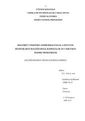 Bausmės vykdymo atidėjimas pagal Lietuvos Respublikos (LR) baudžiamąjį kodeksą ir jo taikymas teismų praktikoje 15 puslapis