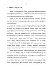 Bausmės vykdymo atidėjimas pagal Lietuvos Respublikos (LR) baudžiamąjį kodeksą ir jo taikymas teismų praktikoje 3 puslapis