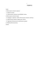 Diferencijuotas mokymas 2 puslapis