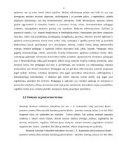 Diferencijuotas mokymas 13 puslapis