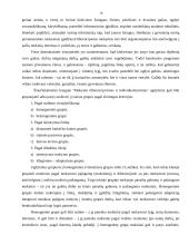 Diferencijuotas mokymas 18 puslapis