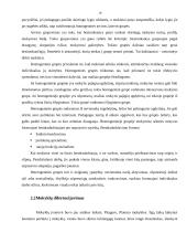 Diferencijuotas mokymas 19 puslapis