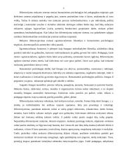 Diferencijuotas mokymas 8 puslapis