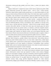 Diferencijuotas mokymas 9 puslapis