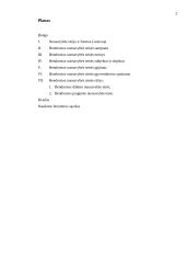 Bendroji nuosavybė ir jos rūšys 2 puslapis