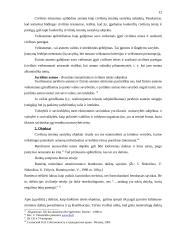 Bendroji nuosavybė ir jos rūšys 12 puslapis