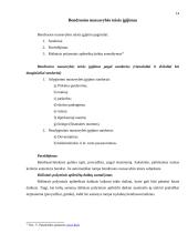 Bendroji nuosavybė ir jos rūšys 14 puslapis