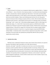 Dinaminės atminties moduliai 3 puslapis