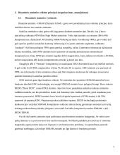 Dinaminės atminties moduliai 5 puslapis