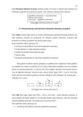 Dinaminės duomenų struktūros 13 puslapis