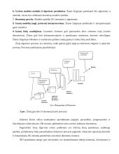 Duomenų saugojimas ir valdymas 18 puslapis