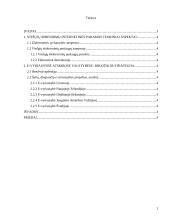 E-vyriausybė: teorija ir praktika 2 puslapis