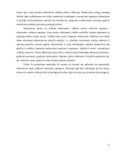 E-vyriausybė: teorija ir praktika 11 puslapis