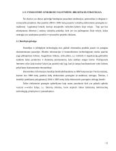 E-vyriausybė: teorija ir praktika 12 puslapis