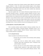 E-vyriausybė: teorija ir praktika 14 puslapis