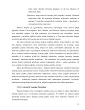 E-vyriausybė: teorija ir praktika 15 puslapis