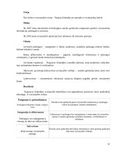 E-vyriausybė: teorija ir praktika 16 puslapis