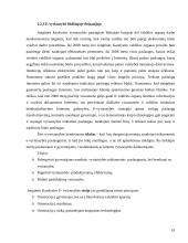 E-vyriausybė: teorija ir praktika 18 puslapis