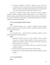 E-vyriausybė: teorija ir praktika 20 puslapis