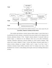 E-vyriausybė: teorija ir praktika 7 puslapis