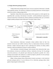 E-vyriausybė: teorija ir praktika 8 puslapis