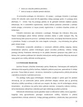 E-vyriausybė: teorija ir praktika 10 puslapis