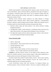 Dirvožemio ištekliai 8 puslapis