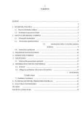 Dividendų politika 2 puslapis