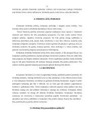 Dividendų politika 11 puslapis