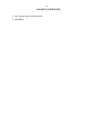 Dividendų politika 19 puslapis