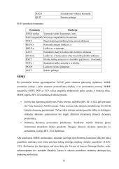 Elektroninis paštas. Veikimo principai. Protokolai. Virusai 15 puslapis